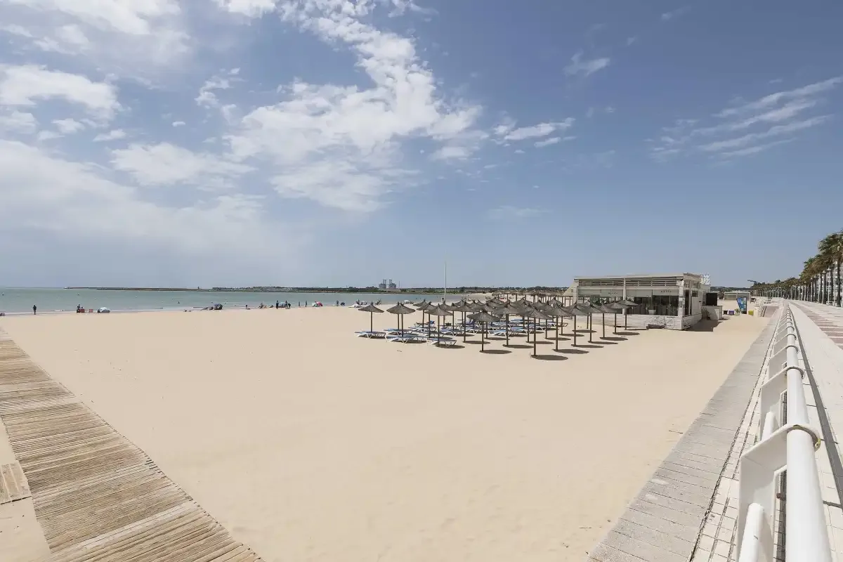 Una amplia playa de arena con filas de sombrillas junto al mar.