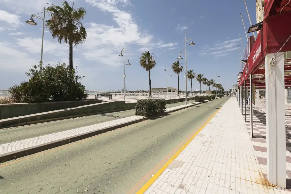 Un paseo bordeado de palmeras junto a una vía pavimentada y edificios con fachadas rojas.