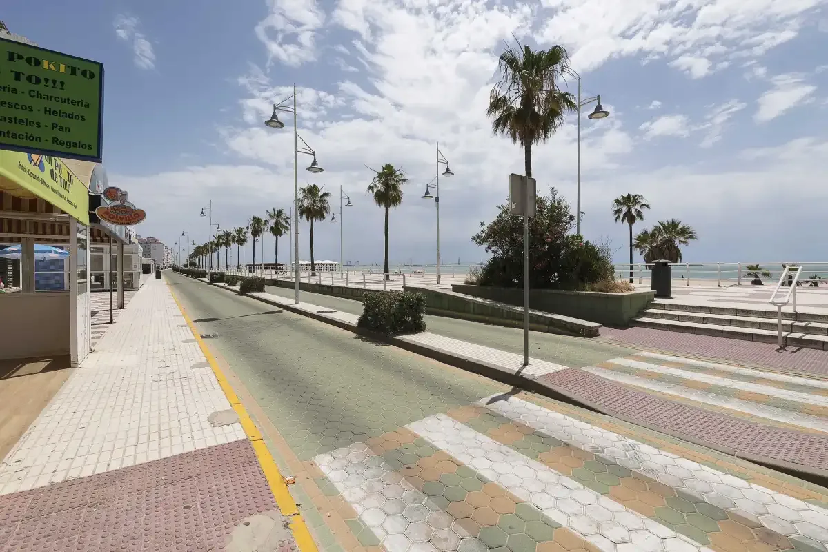 Un paseo marítimo con palmeras, un camino pavimentado y la playa.