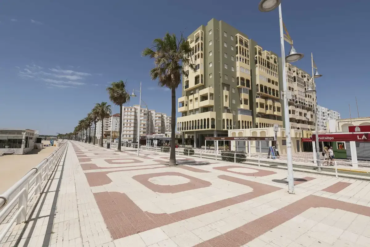 Un amplio paseo pavimentado pasa junto a palmeras y edificios de varias plantas.