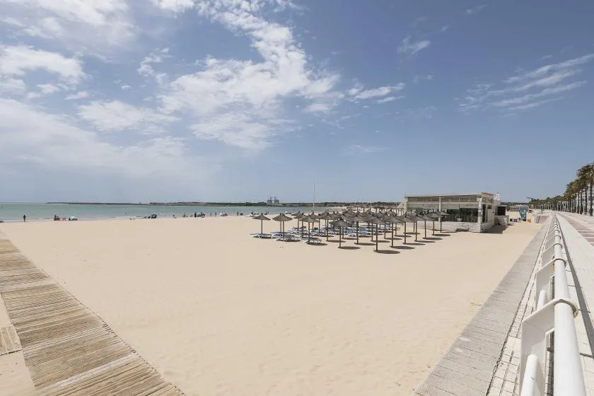 Una playa de arena con filas de tumbonas junto al agua.