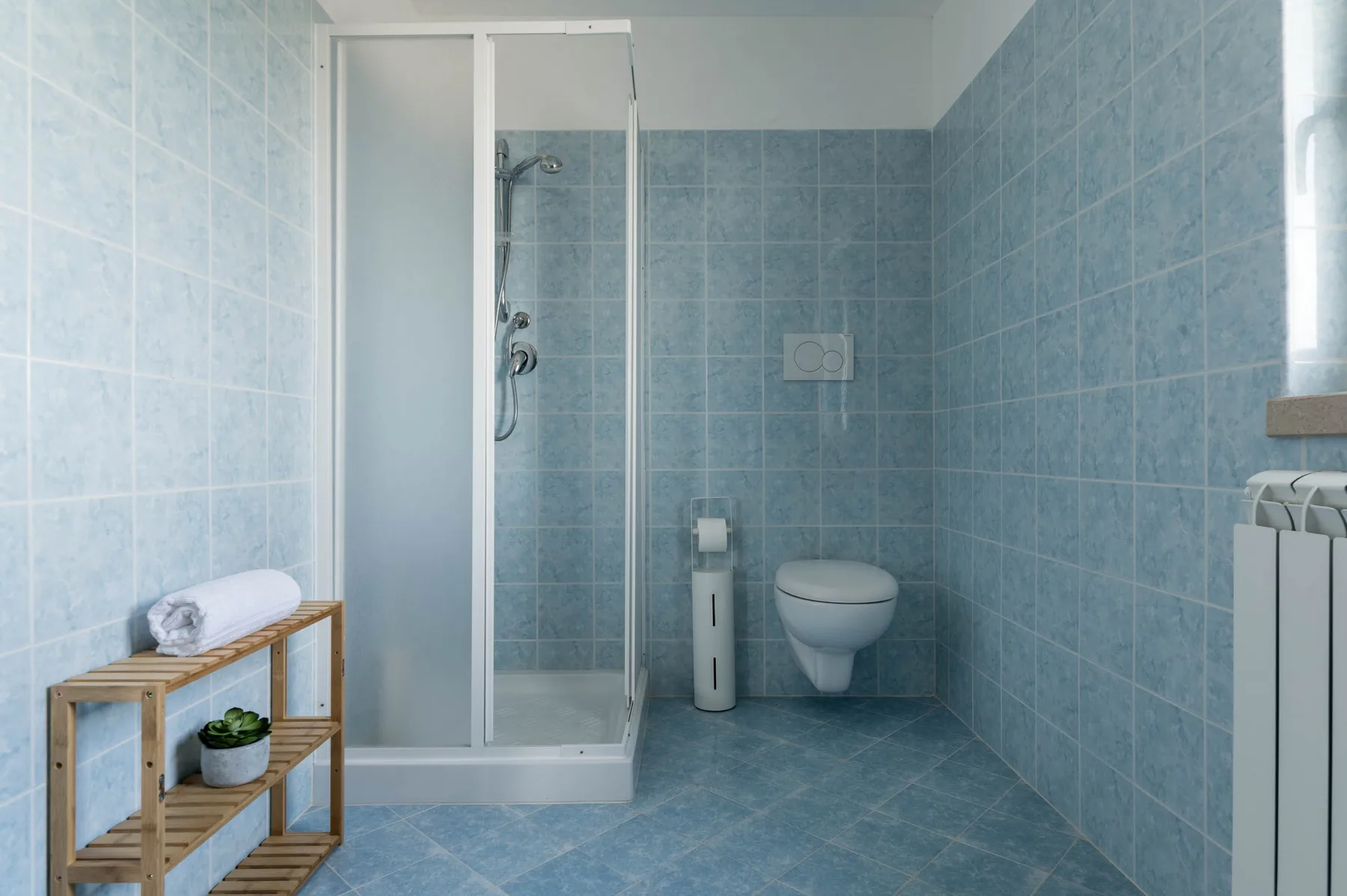 Un baño con azulejos, ducha e inodoro.