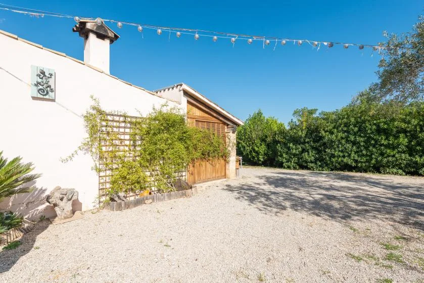 A sunlit gravel courtyard beside a white building, with greenery along the edge.