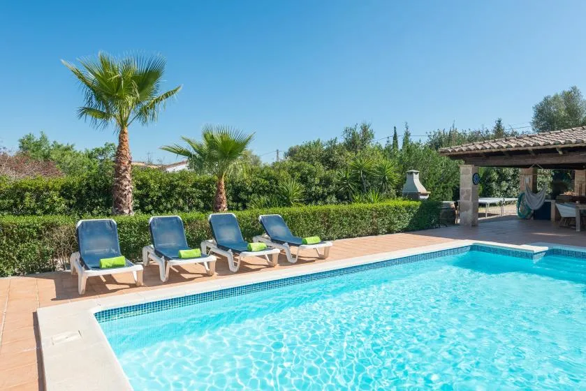 An outdoor swimming pool with lounge seating and palm trees.