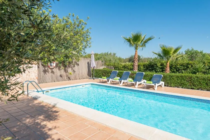An outdoor swimming pool sits beside a paved deck with loungers and palm trees.