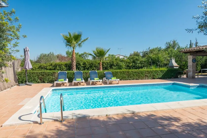 An outdoor swimming pool sits beside a paved patio with lounge seating and palm trees.