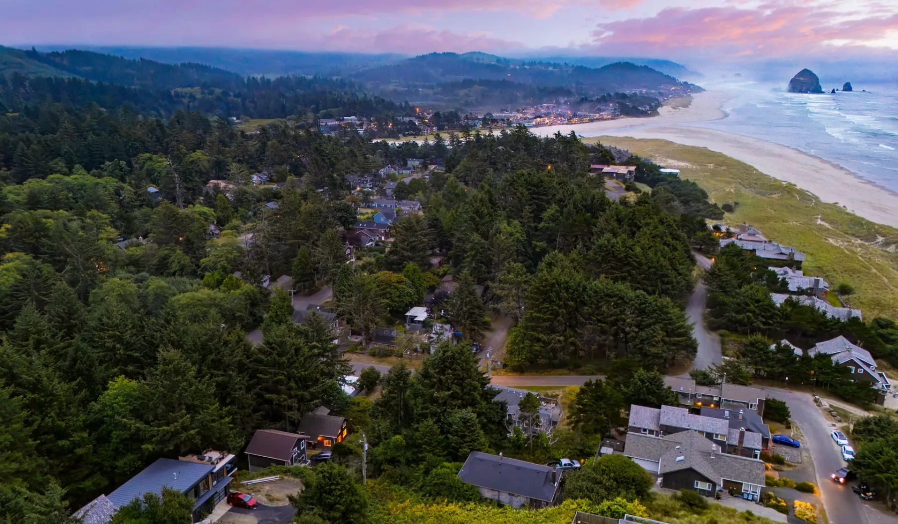 Vista aérea de un barrio costero junto a un bosque y una playa de arena.