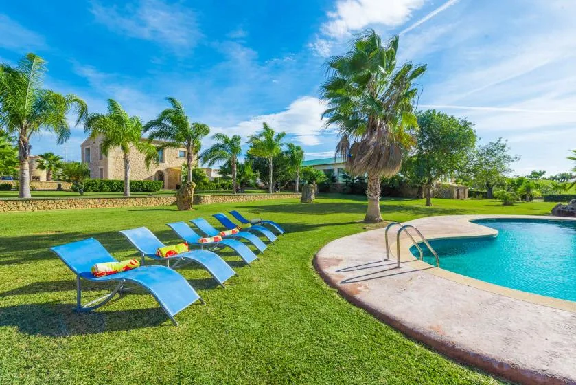 An outdoor swimming pool beside a grassy lawn with lounge chairs and palm trees.