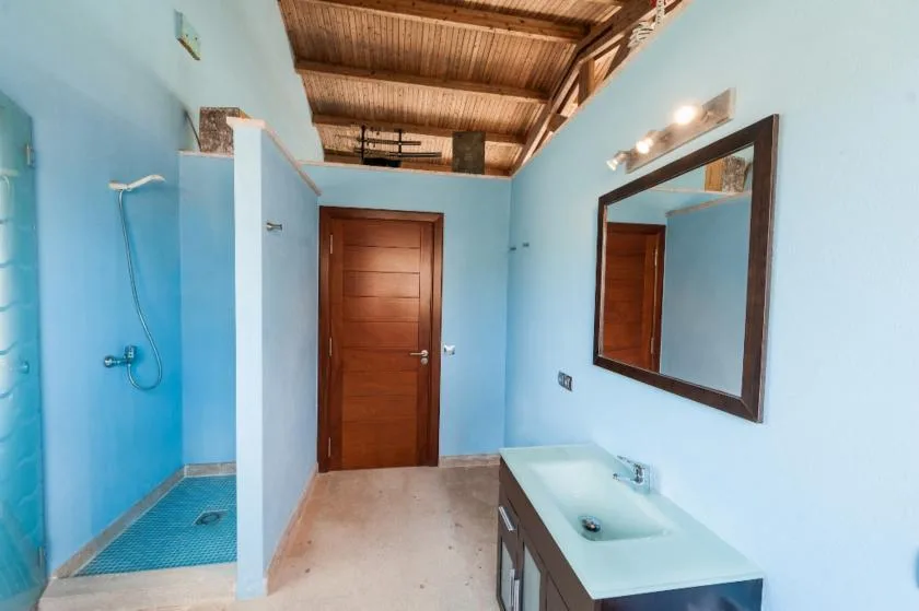 A blue bathroom with a shower, sink, and wooden door.