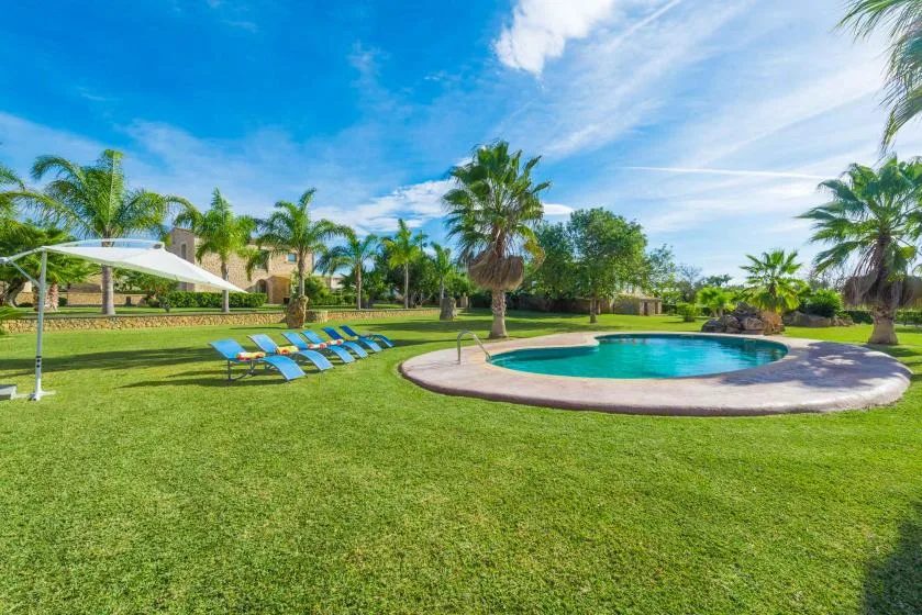 An outdoor swimming pool sits in a landscaped lawn with palm trees and sun loungers.