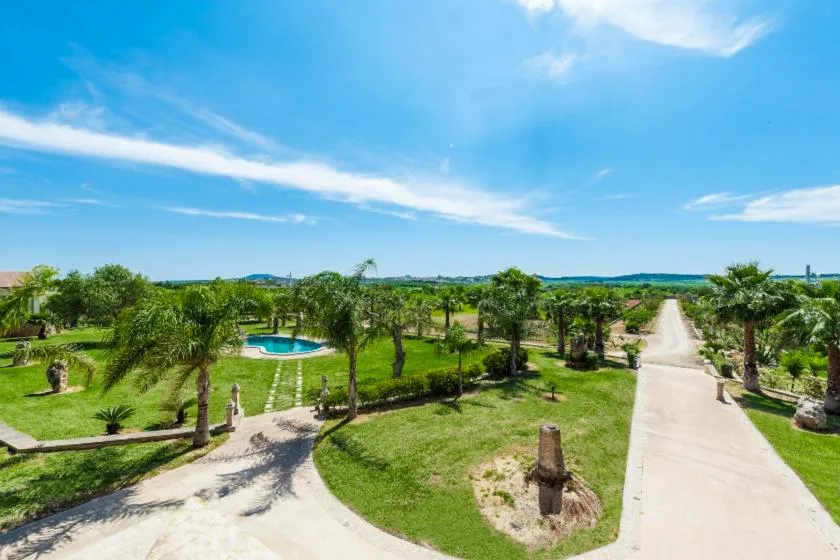 A landscaped outdoor garden with palm trees, green lawns, and a paved path.