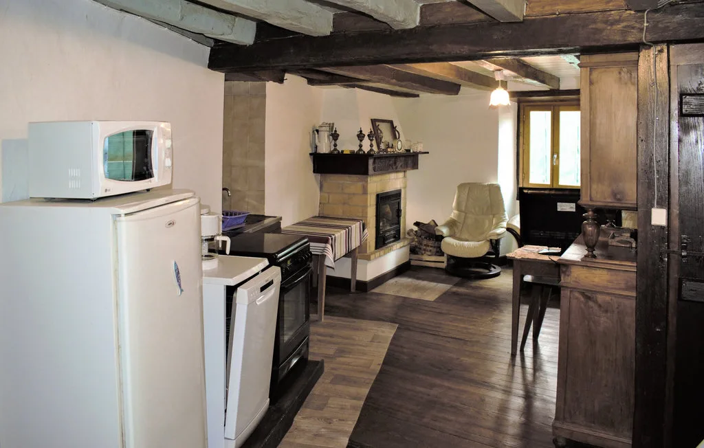 A compact kitchen opens onto a living area with a fireplace and seating.