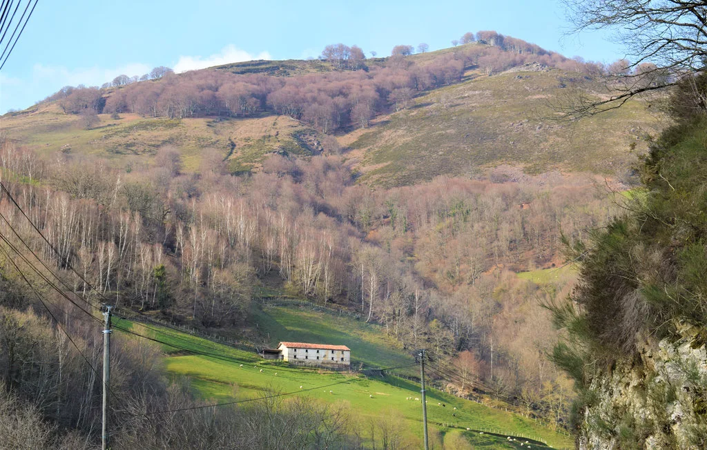 Un pequeño edificio está en un claro verde bajo una ladera boscosa.