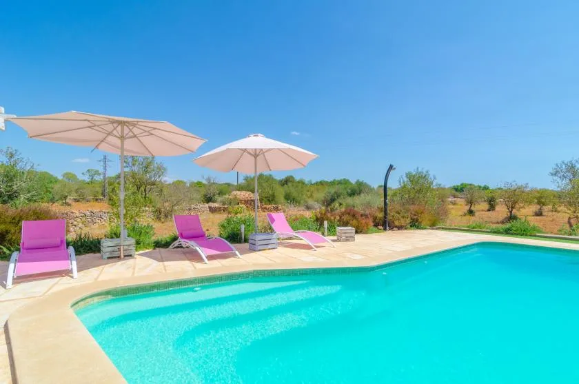 Una piscina con tumbonas rosas y sombrillas está en un paisaje abierto.
