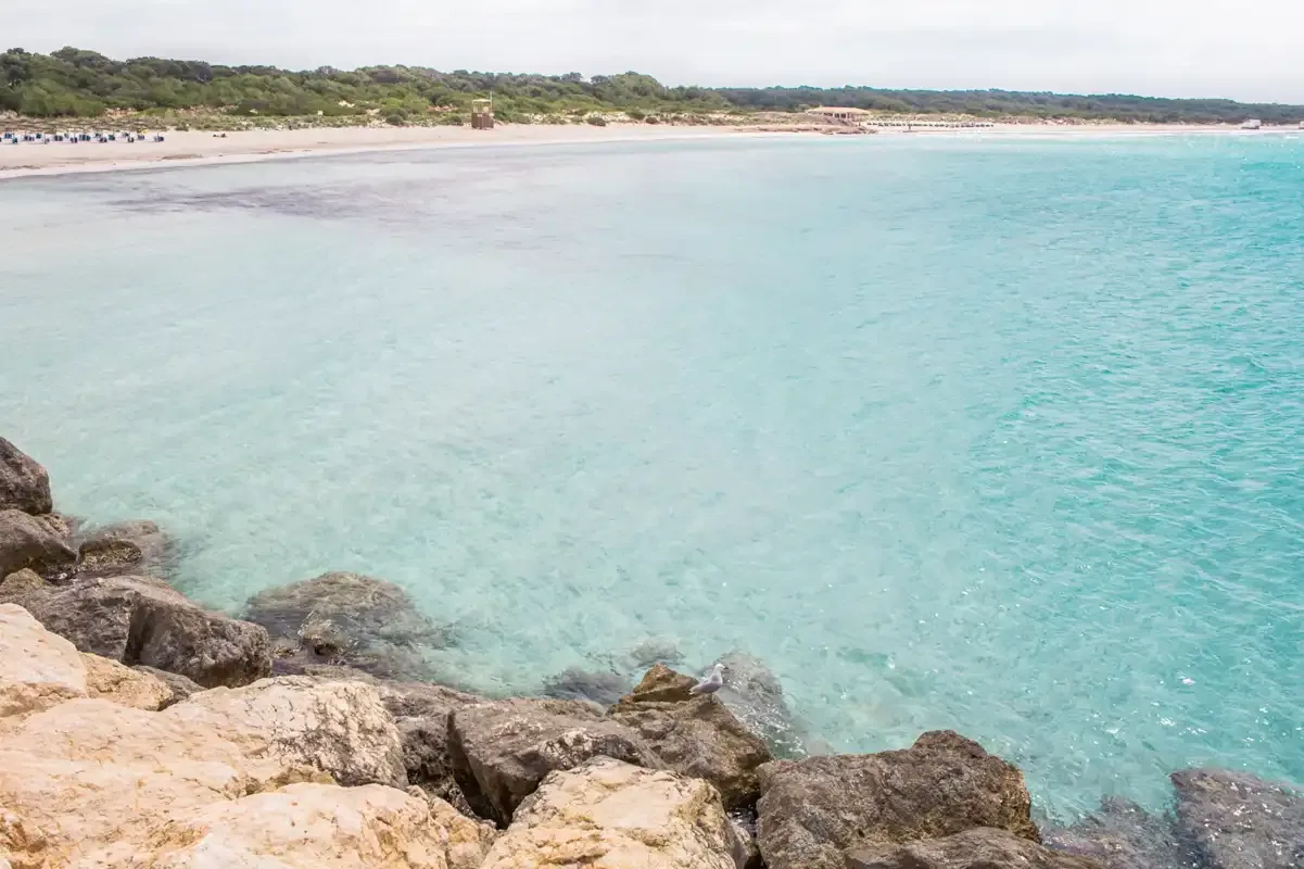 Una playa de arena bordea el agua turquesa y clara, con rocas en primer plano.