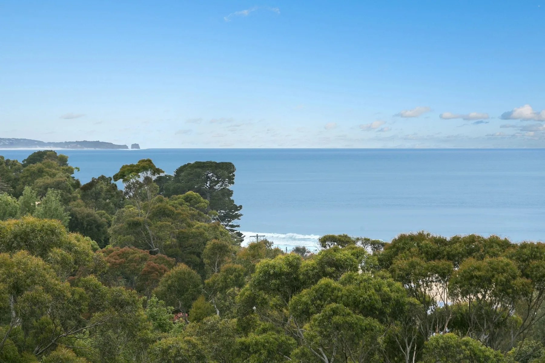 A coastal landscape with dense green trees overlooking the ocean.
