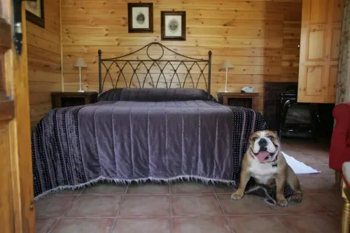 Hotel Rural Albamanjón