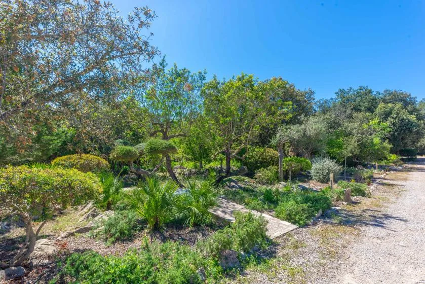 Jardín ajardinado con vegetación baja y árboles junto a un camino de grava.