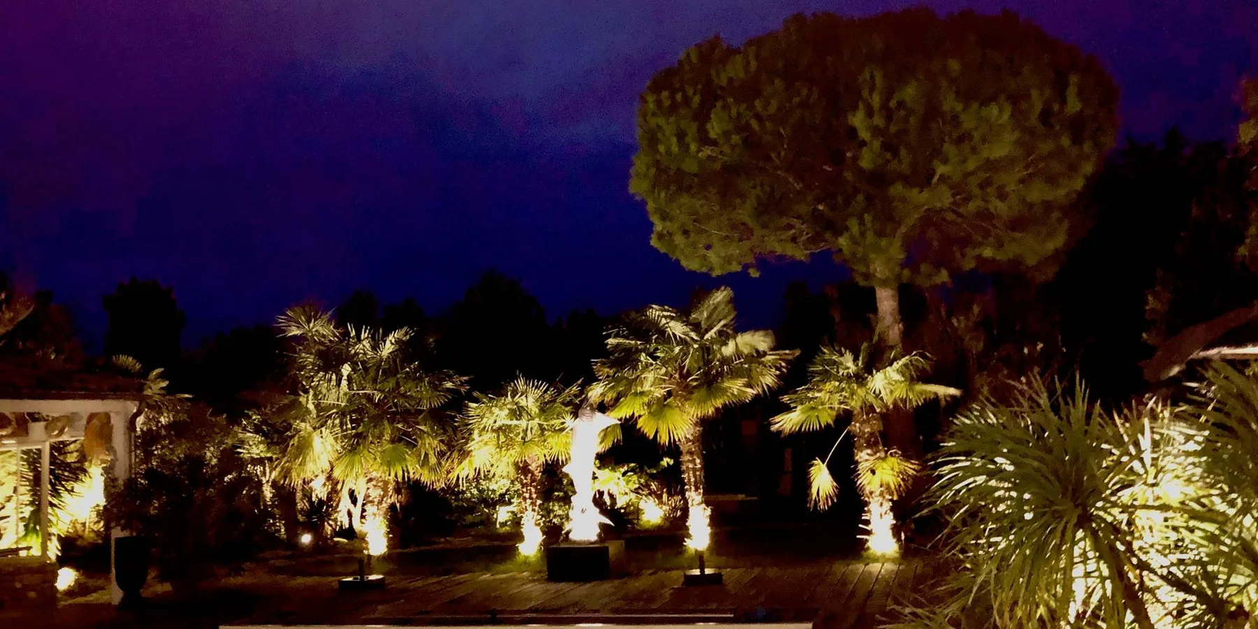 Garden at night