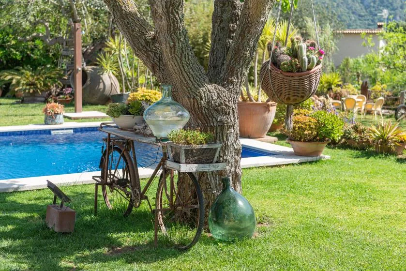A garden beside a swimming pool, with potted plants arranged around a large tree.