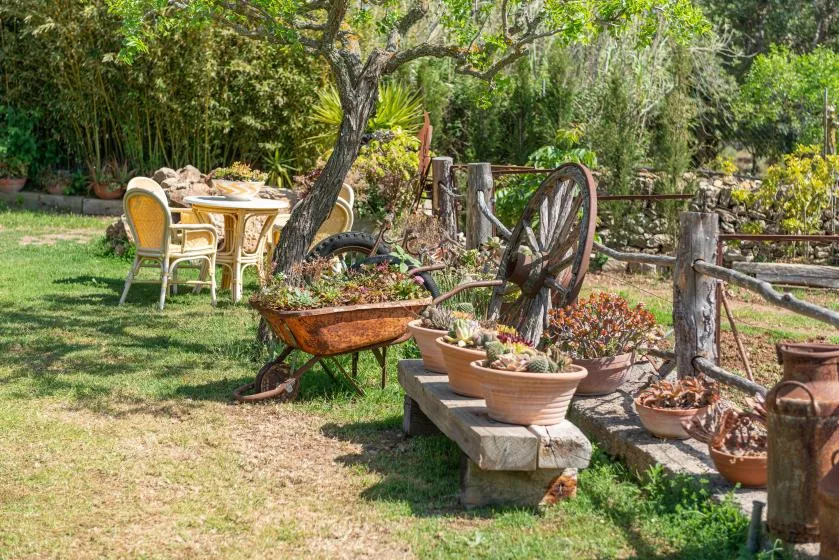 A garden seating area with a table, chairs, and potted plants beside a rustic fence.