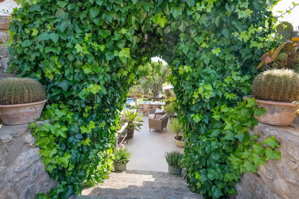 A leafy garden entrance opens onto a patio with outdoor seating.