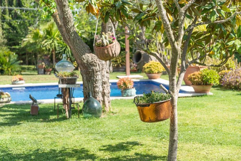 A garden with a swimming pool, trees, and potted plants.