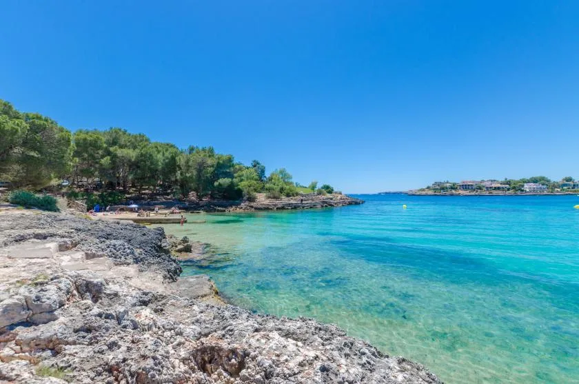 Una costa rocosa se encuentra con aguas turquesas y claras bajo una orilla arbolada.