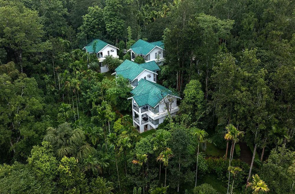 Cedar cottage