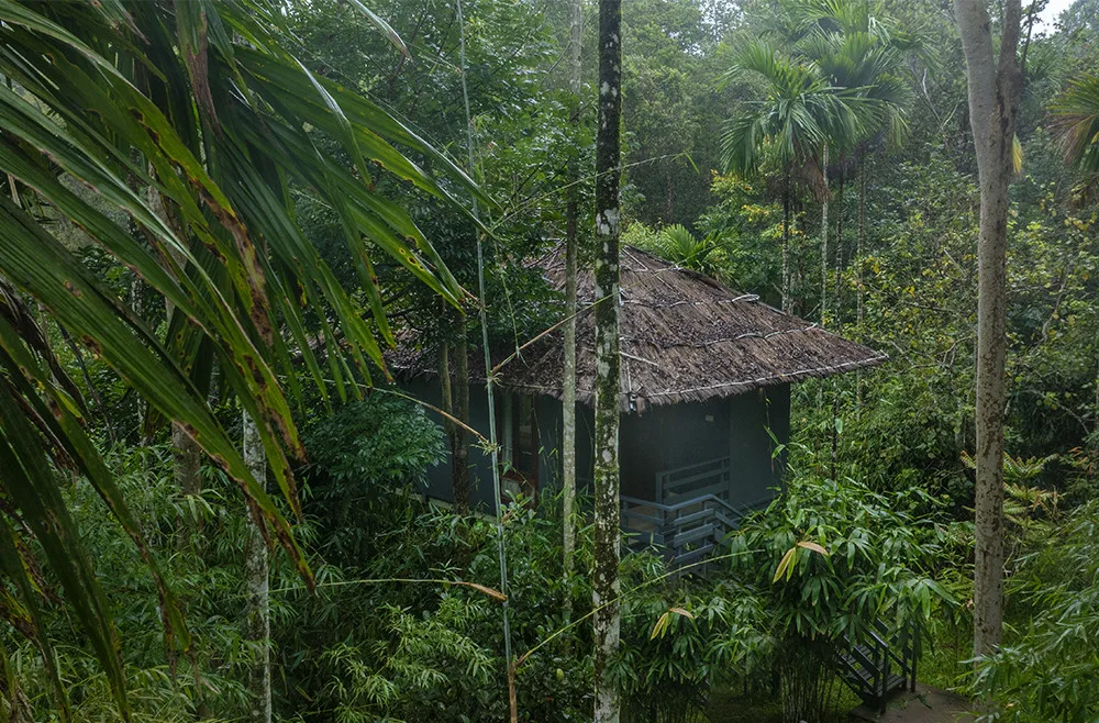 Ebony cottage