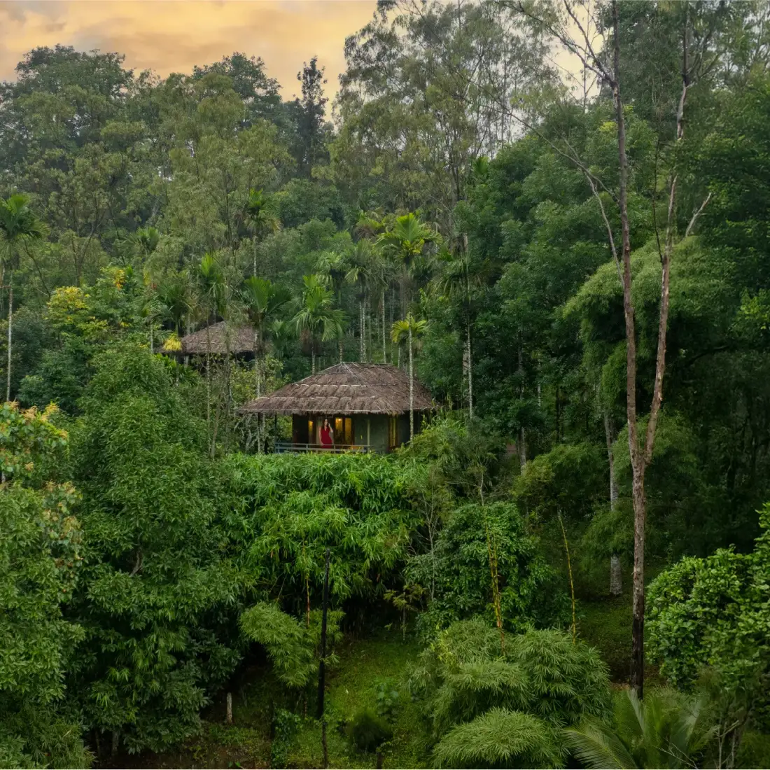 Resort grounds