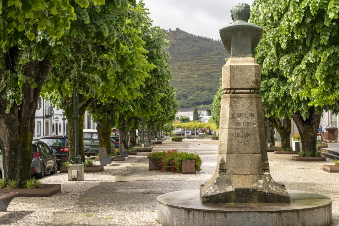 Una plaza arbolada cuenta con una fuente de piedra y bancos alrededor.
