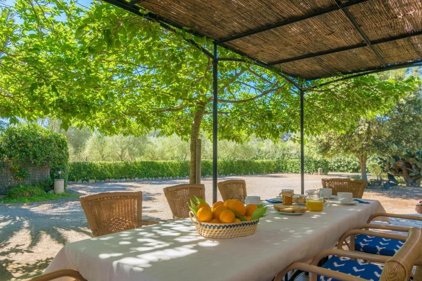 Una mesa de comedor al aire libre, a la sombra de los árboles, tiene fruta y vajilla.