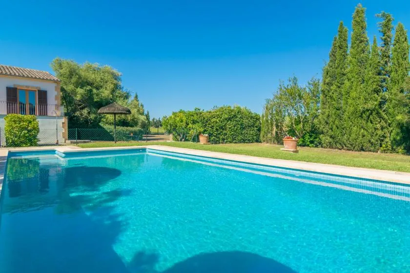 Una piscina al aire libre junto a una casa, rodeada de árboles y vegetación.