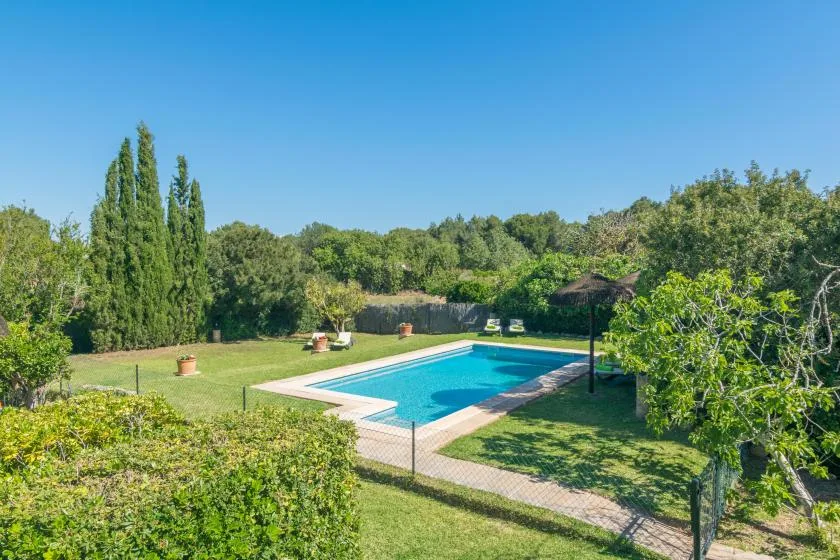 Una piscina al aire libre está en un jardín con césped, árboles y arbustos.