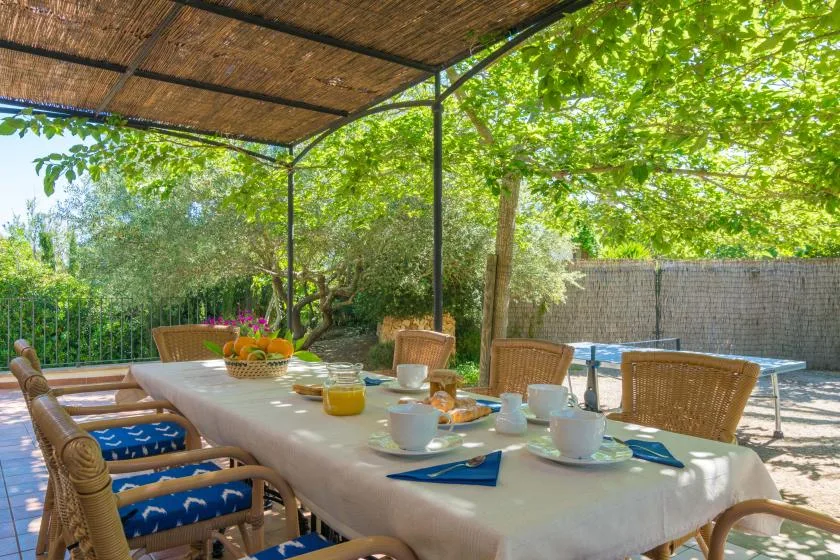 Un comedor al aire libre con una mesa larga bajo árboles frondosos.