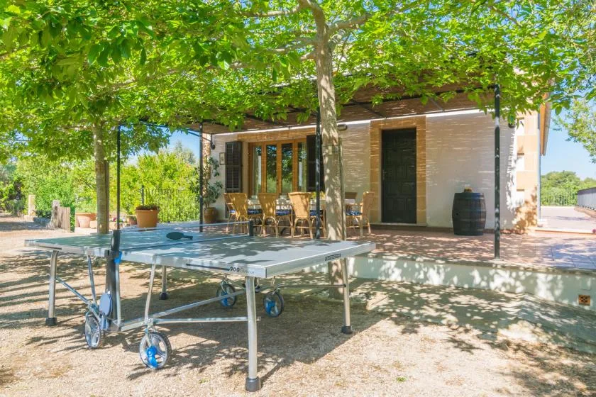 Un patio exterior sombreado con una mesa de ping-pong y asientos bajo árboles frondosos.