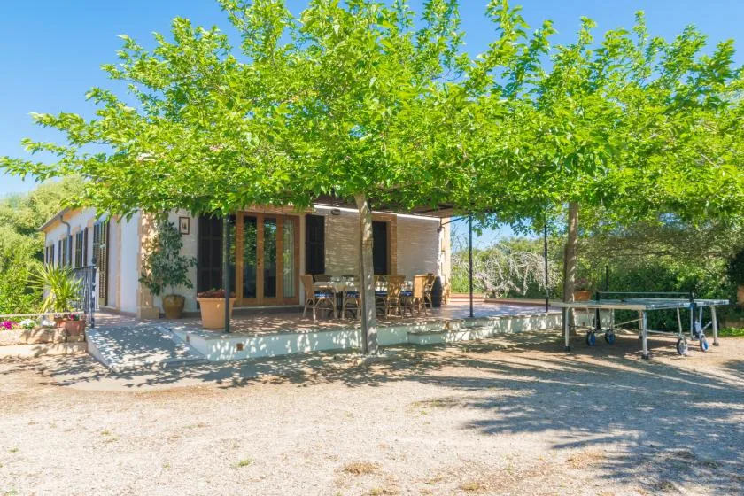 Un patio junto a un edificio bajo queda bajo árboles frondosos.