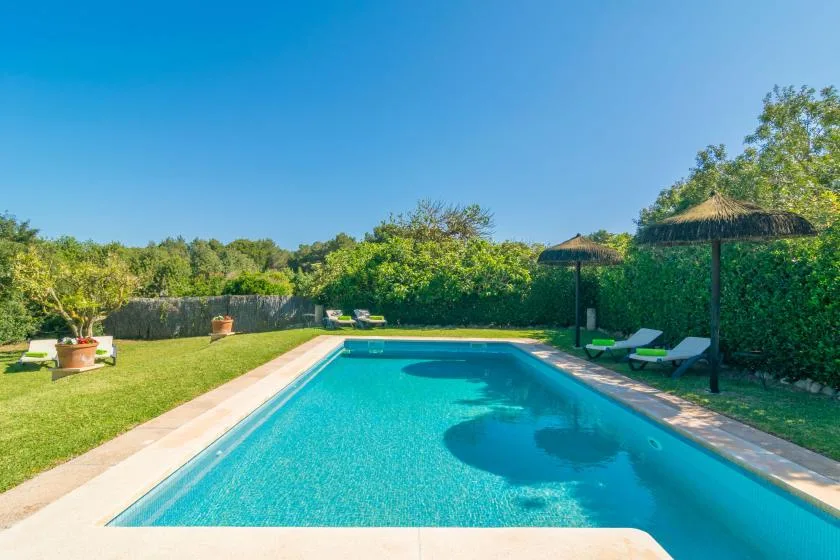 Una piscina está en un jardín soleado rodeado de vegetación.