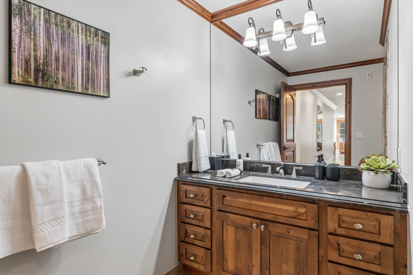 Un tocador de baño con un espejo amplio y gabinetes de madera.