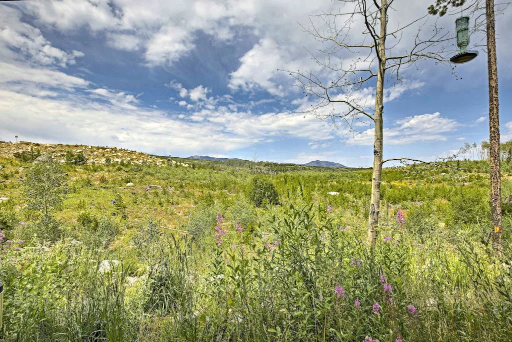 A wildflower meadow stretches toward distant hills beneath a partly cloudy sky.