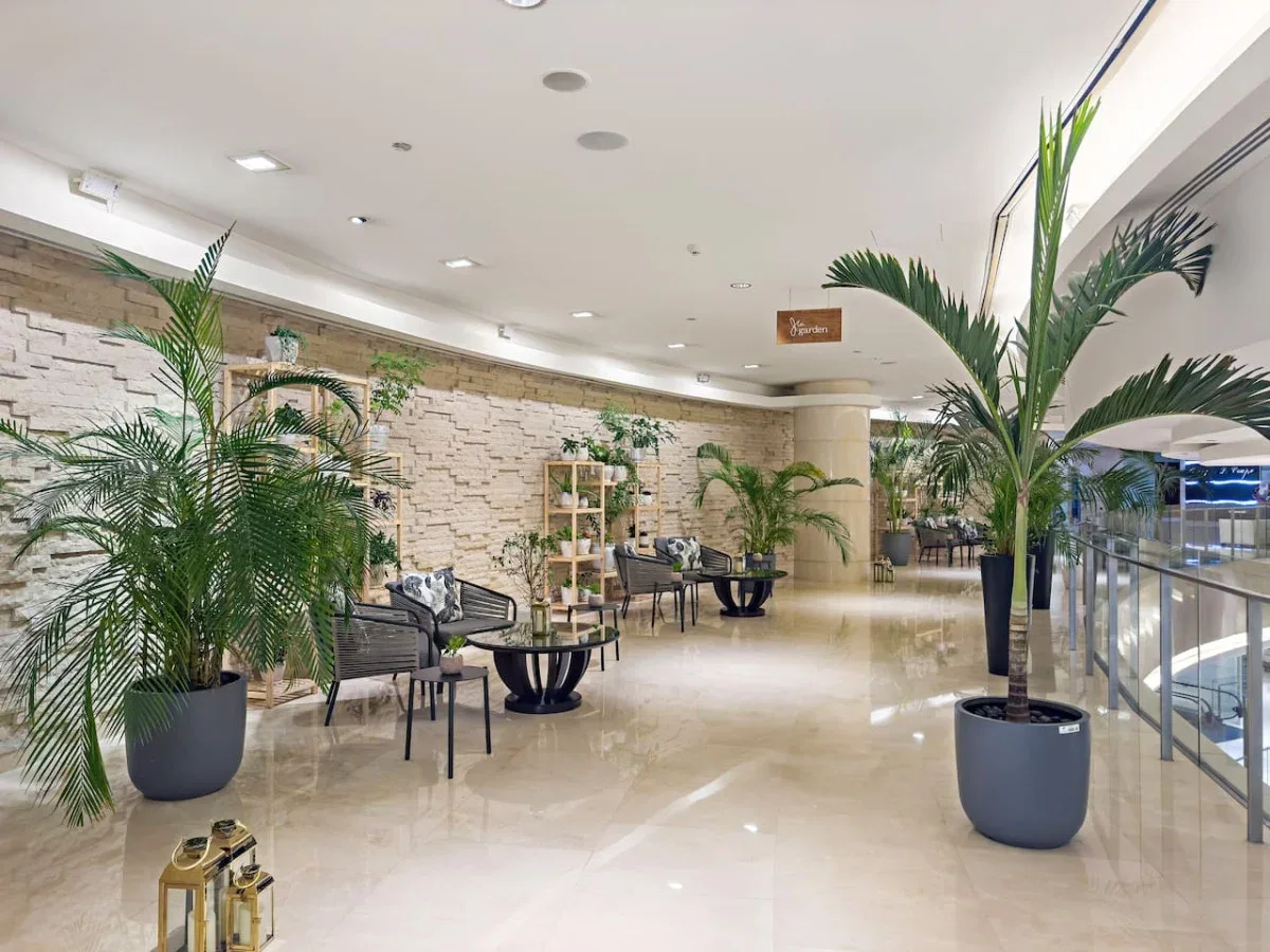 An indoor lounge area with seating, potted palms, and a stone-textured wall.