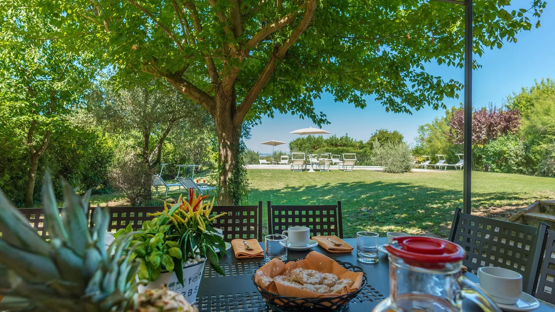 Una mesa de comedor al aire libre está bajo un árbol frondoso junto a un césped ajardinado.