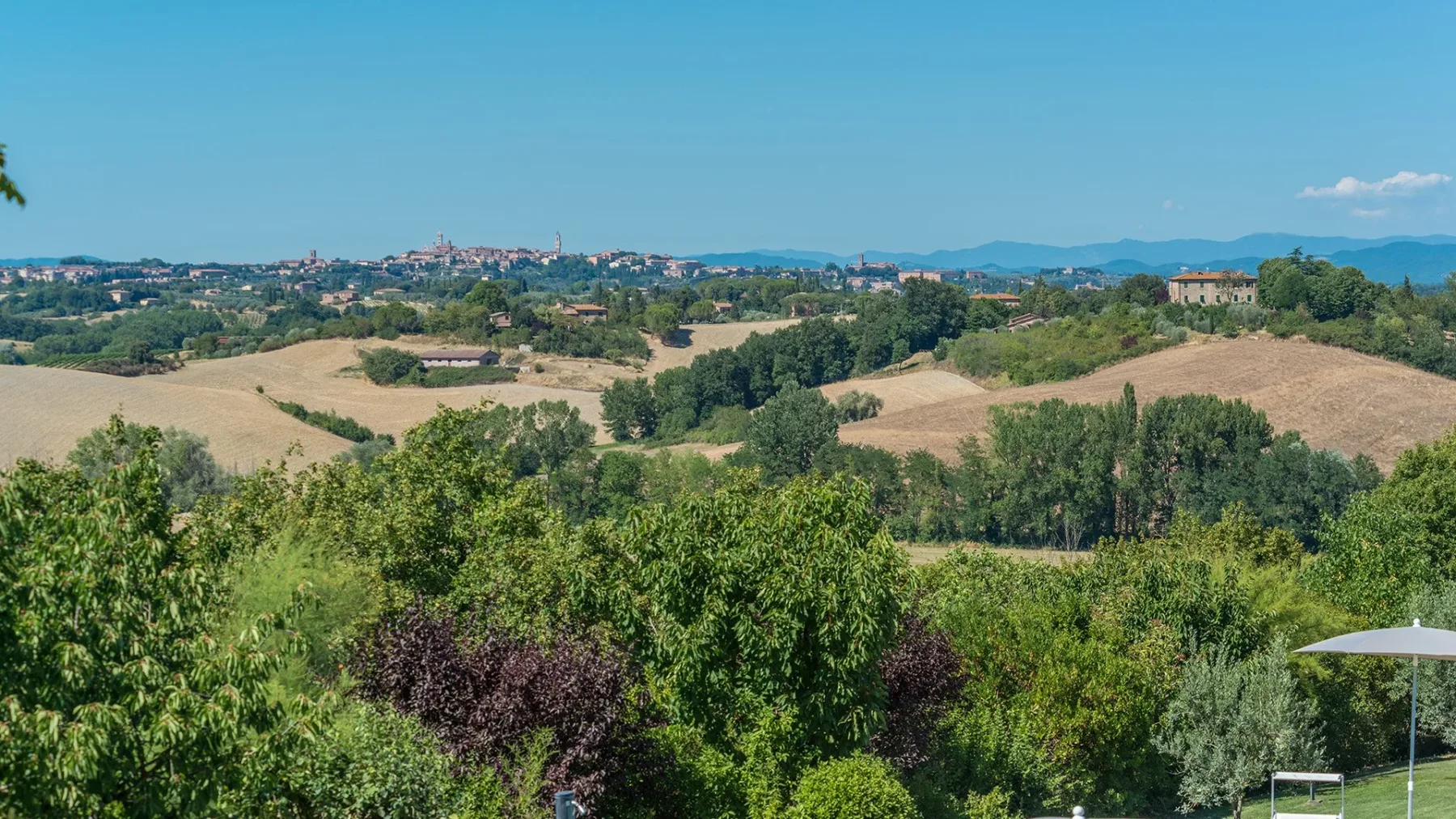 Un paisaje rural con campos ondulados, árboles y colinas lejanas bajo un cielo despejado.