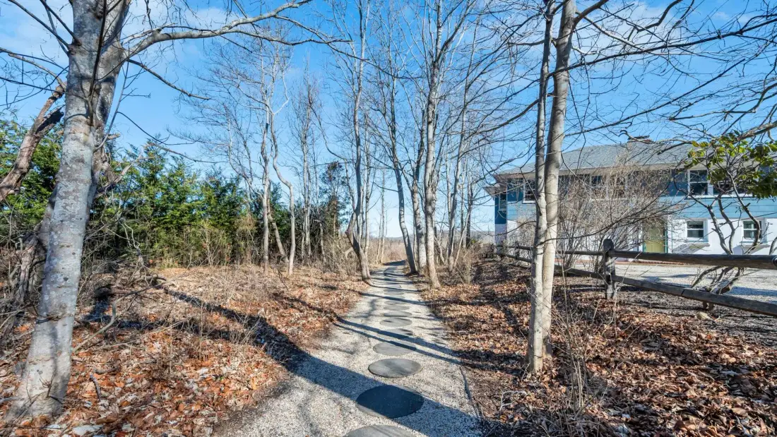 A paved outdoor path winds between leafless trees toward a building.