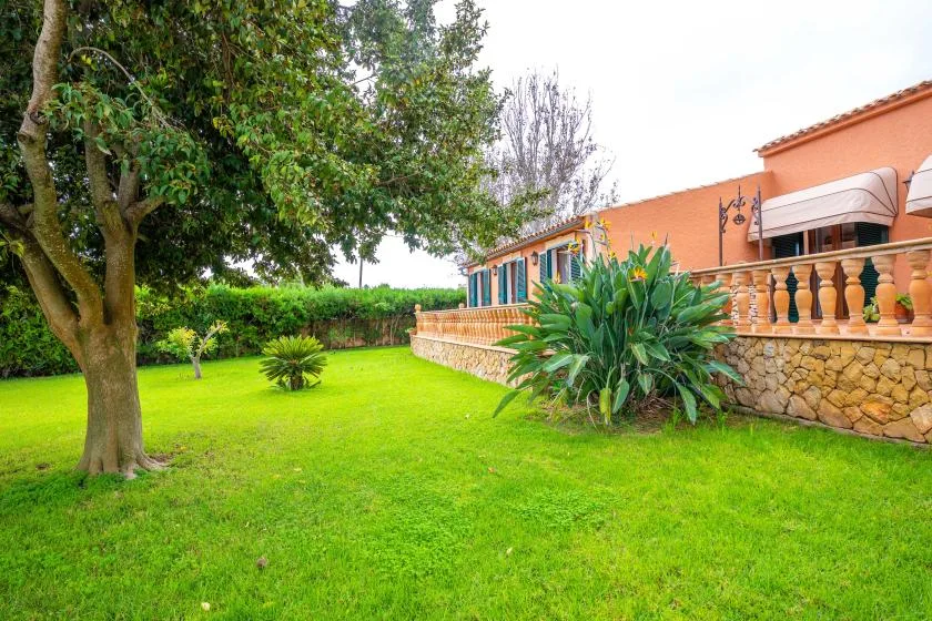 A green garden lawn beside a terracotta-colored building and raised patio.