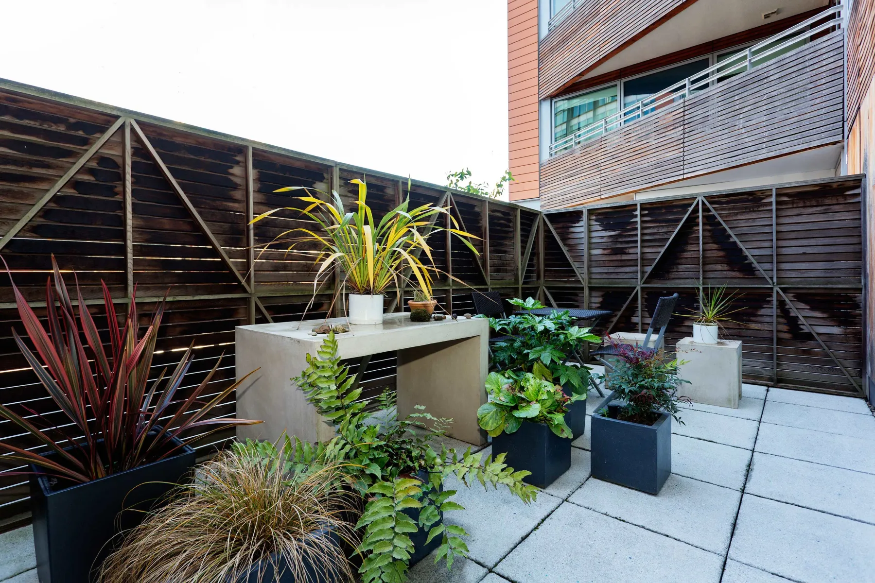 A paved outdoor patio with potted plants beside a wooden privacy fence.
