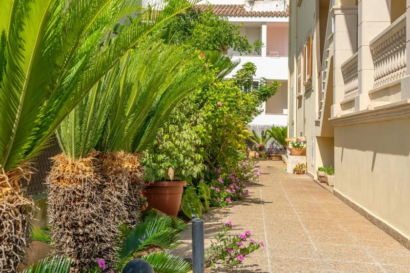A tiled walkway runs beside a building, with leafy plants along the path.