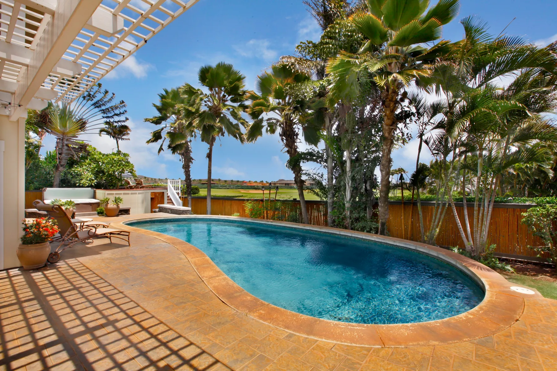 A curved outdoor swimming pool sits on a sunny patio surrounded by palm trees.