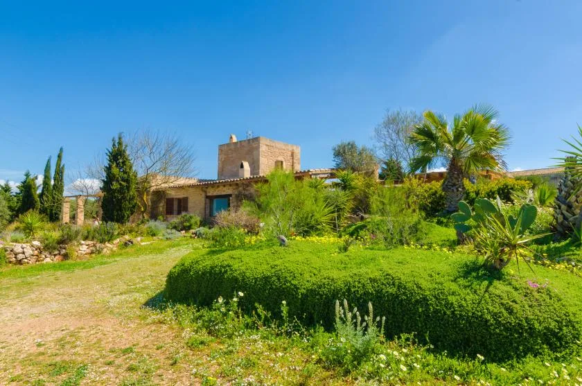 Villa es molí des trenc